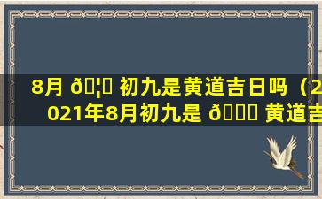 8月 🦄 初九是黄道吉日吗（2021年8月初九是 🐕 黄道吉日吗）